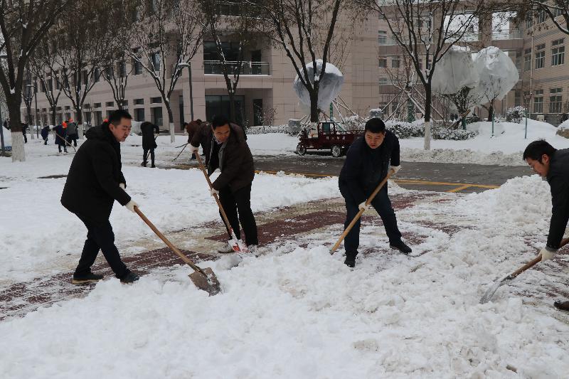 菠菜担保网全员清除积雪，确保师生安全出行